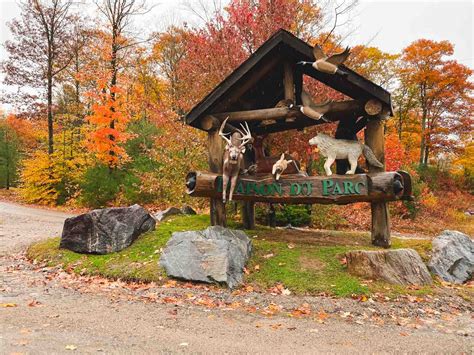 parc omega cheap tickets|omega park tickets prices.